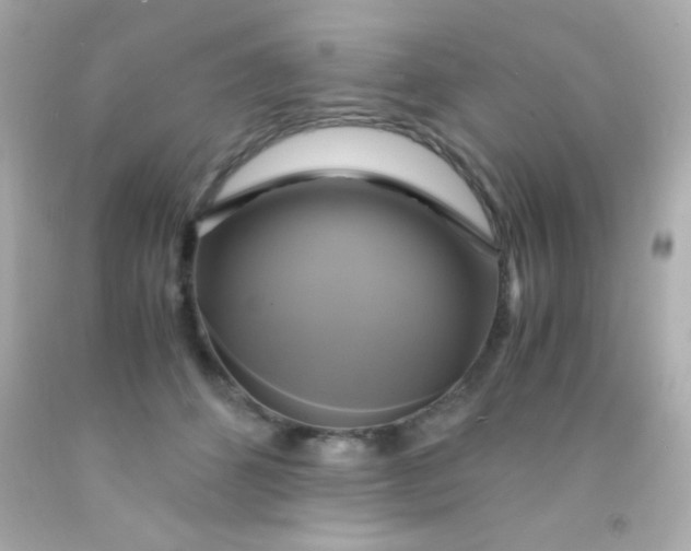 X0000091500512200709061925