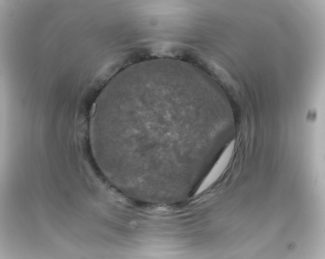 X0000091500513200709061925