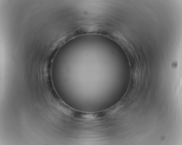 X0000091500516200709061925