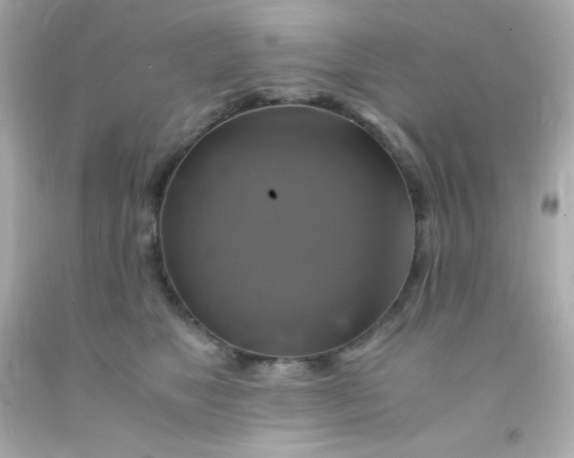 X0000091500517200709061925