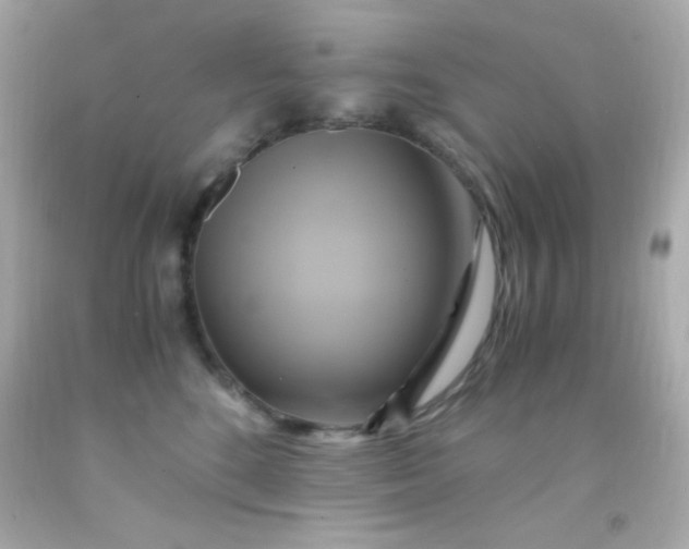 X0000091500520200709061925