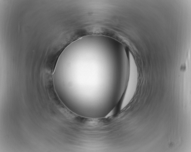 X0000091500521200709061925