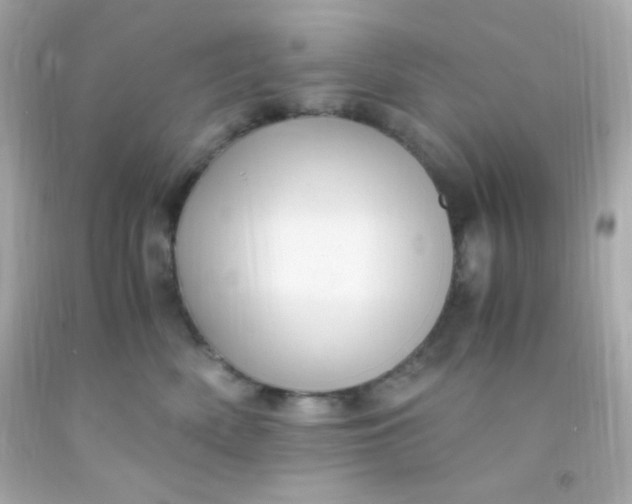 X0000091500522200709061925