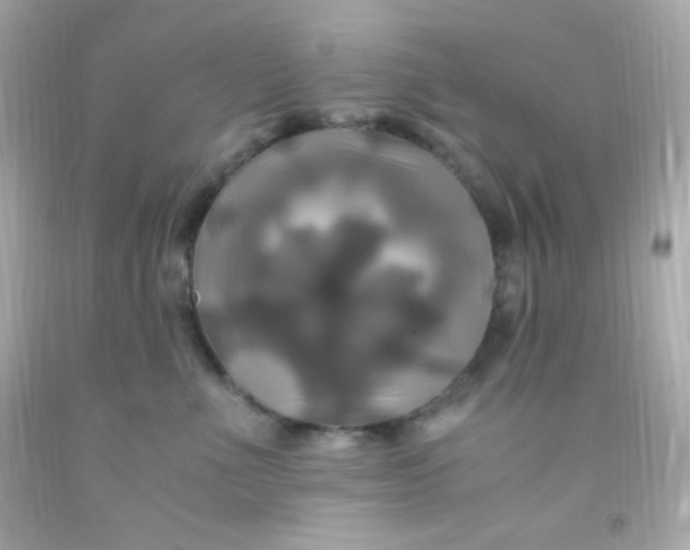 X0000091500523200709061925