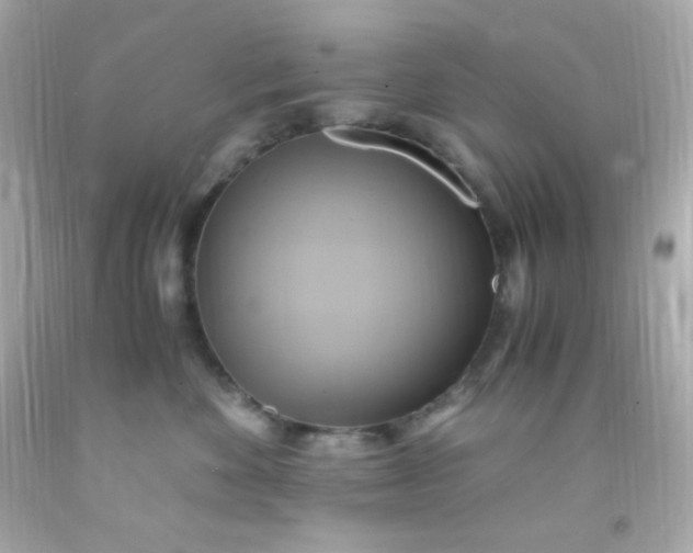 X0000091500524200709061925