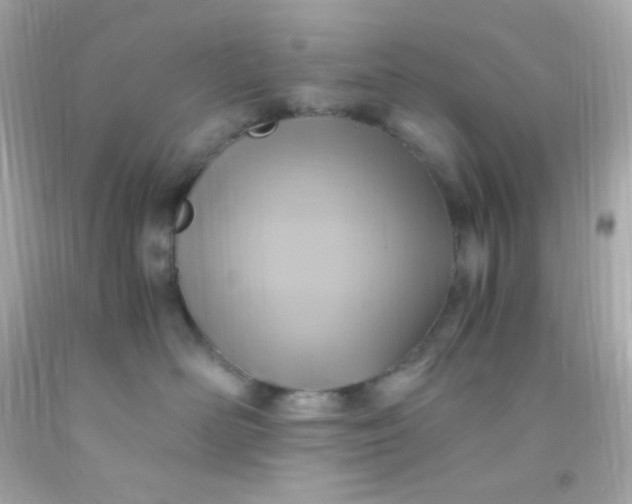 X0000091500526200709061925