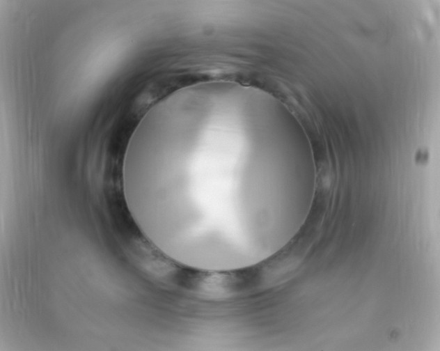 X0000091500527200709061925