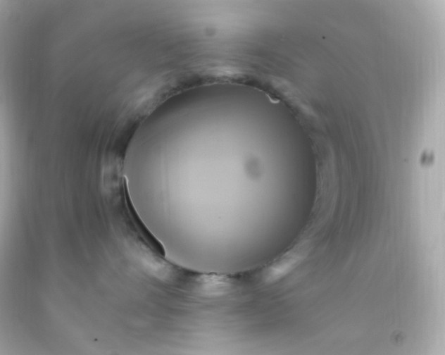 X0000091500528200709061925