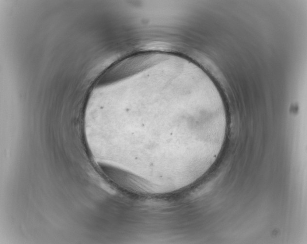 X0000091500529200709061924