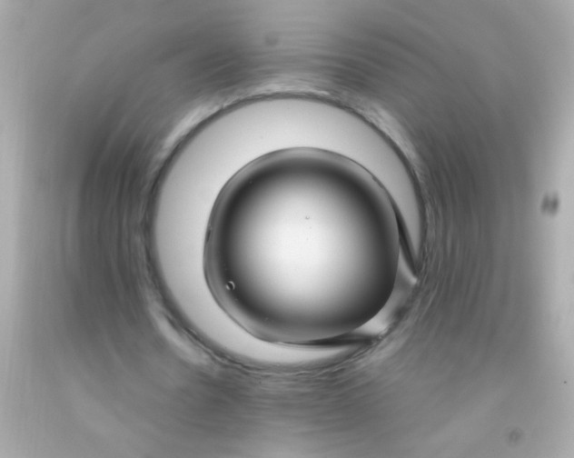 X0000091500530200709061924