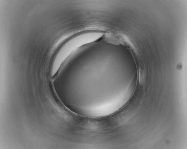 X0000091500531200709061924