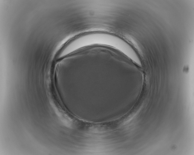 X0000091500532200709061924