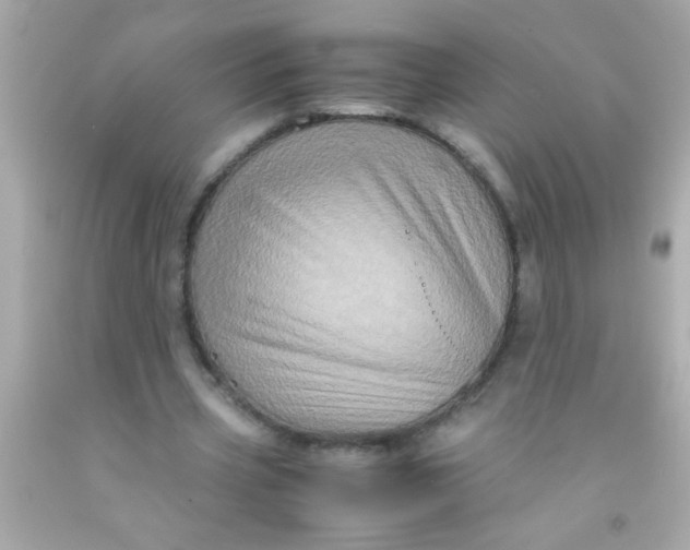 X0000091500533200709061924