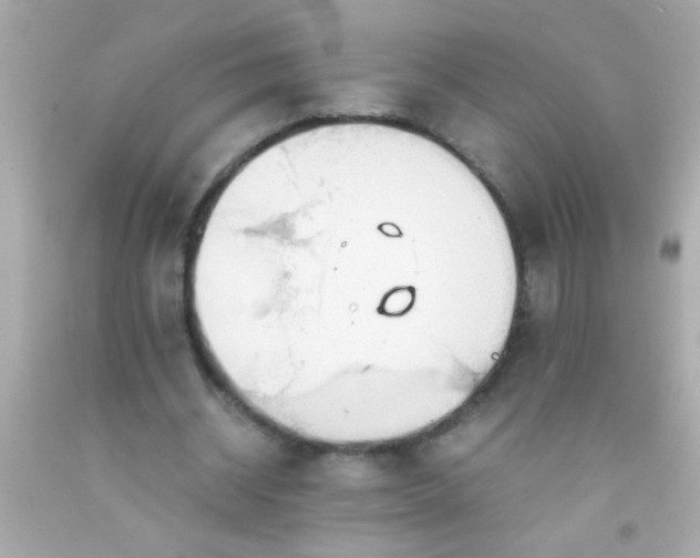 X0000091500534200709061924