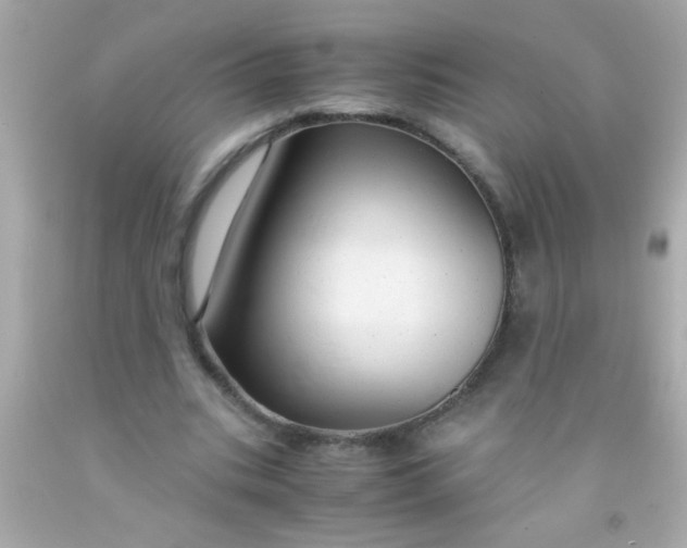 X0000091500535200709061924