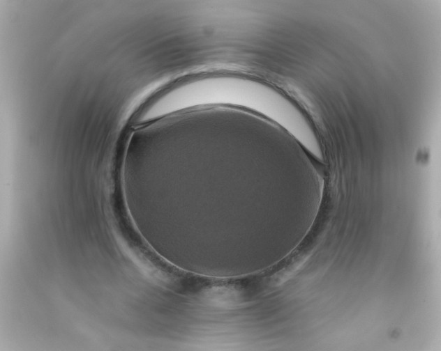 X0000091500536200709061924