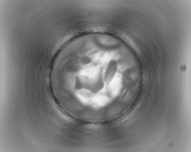 X0000091500537200709061924