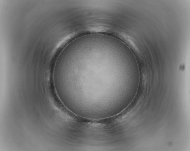 X0000091500539200709061924