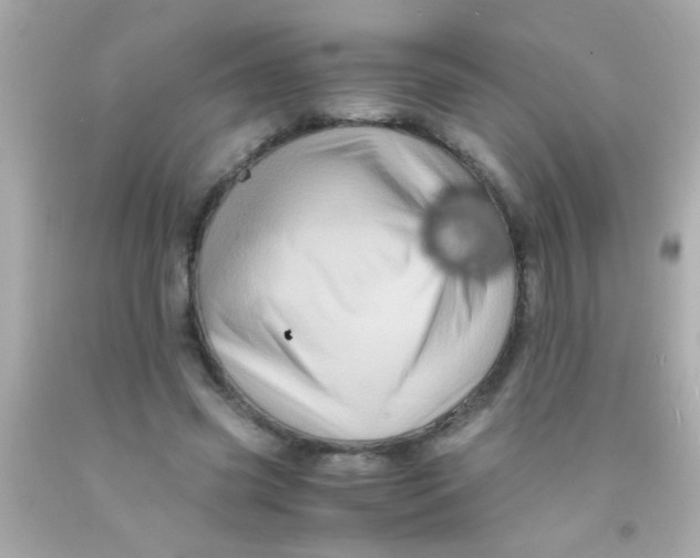 X0000091500541200709061924