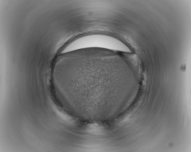 X0000091500544200709061924