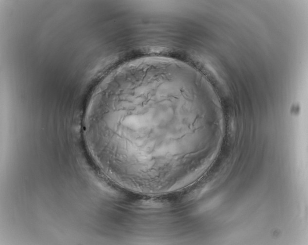 X0000091500545200709061924