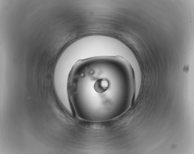 X0000091500546200709061924