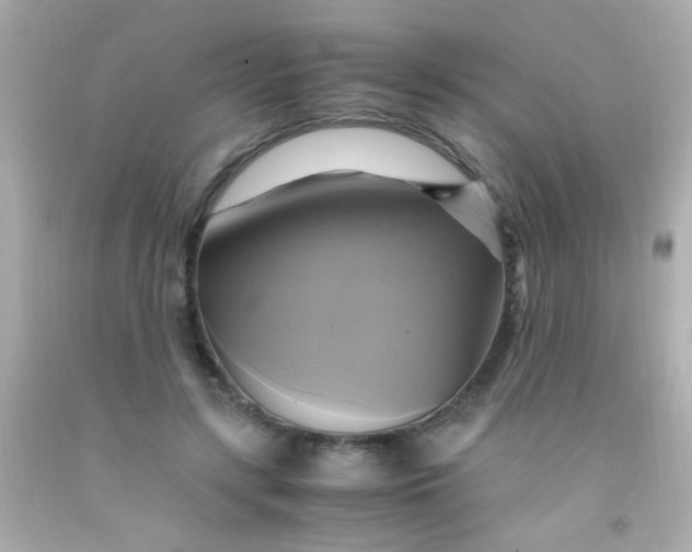 X0000091500547200709061924