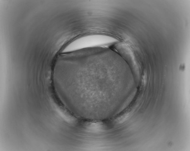 X0000091500548200709061924