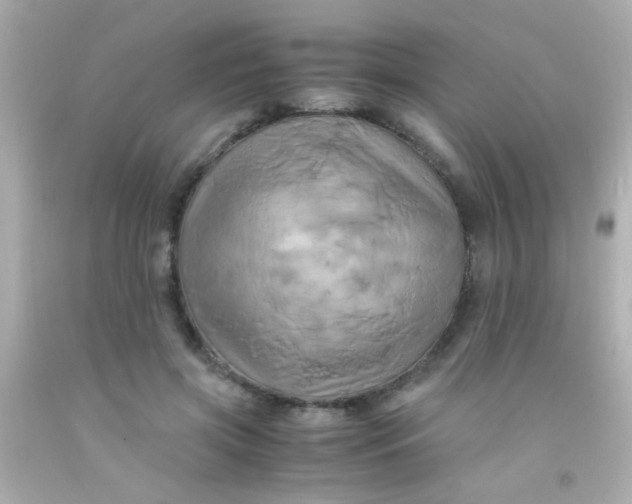 X0000091500549200709061924