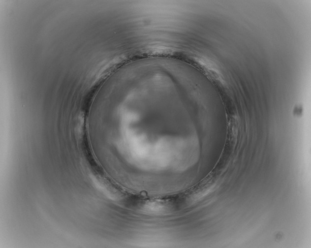 X0000091500550200709061924