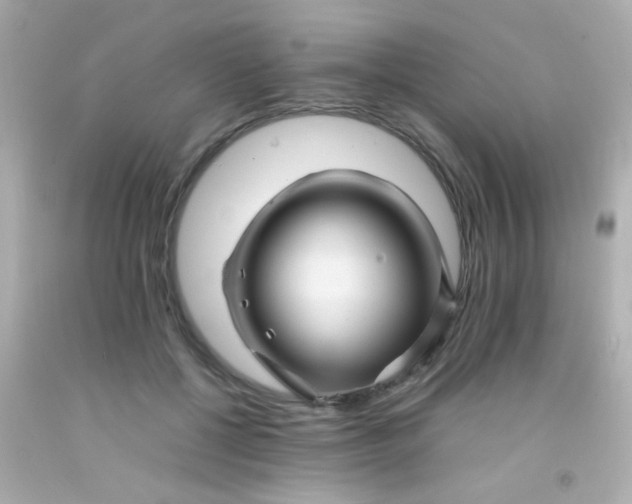 X0000091500552200709061924