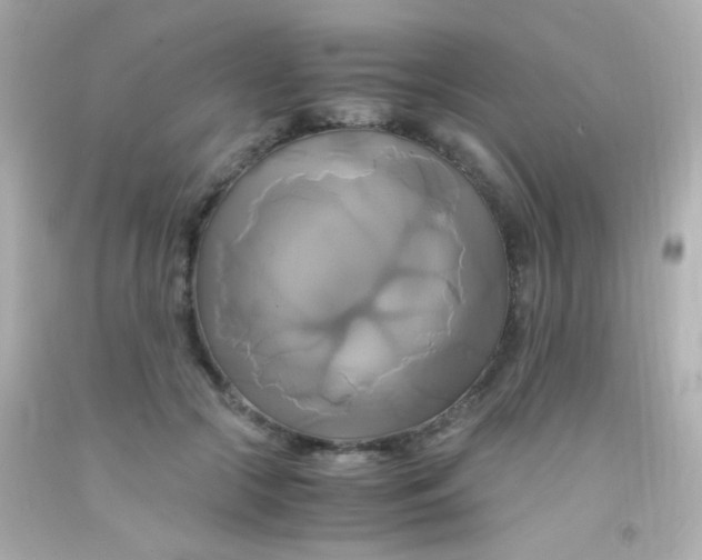 X0000091500553200709061924