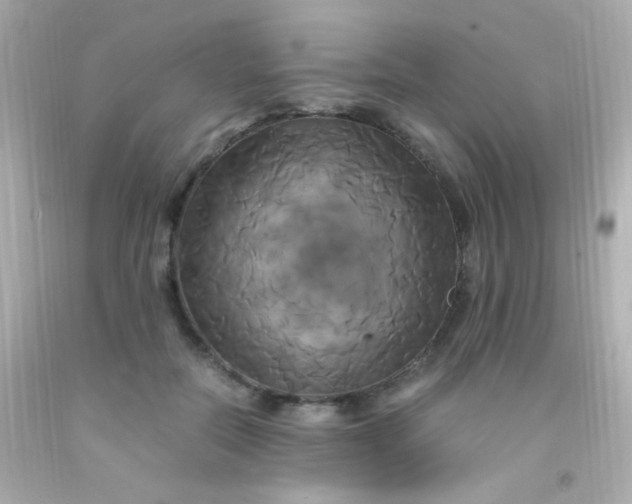 X0000091500554200709061924