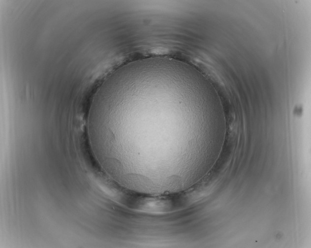 X0000091500555200709061924