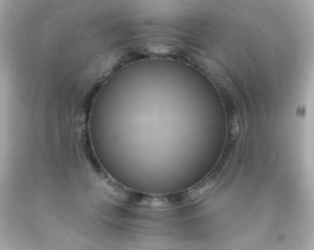 X0000091500559200709061924