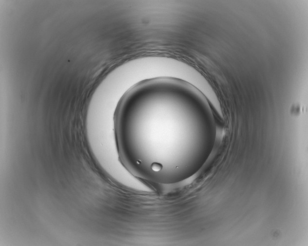 X0000091500560200709061924