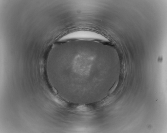 X0000091500562200709061924