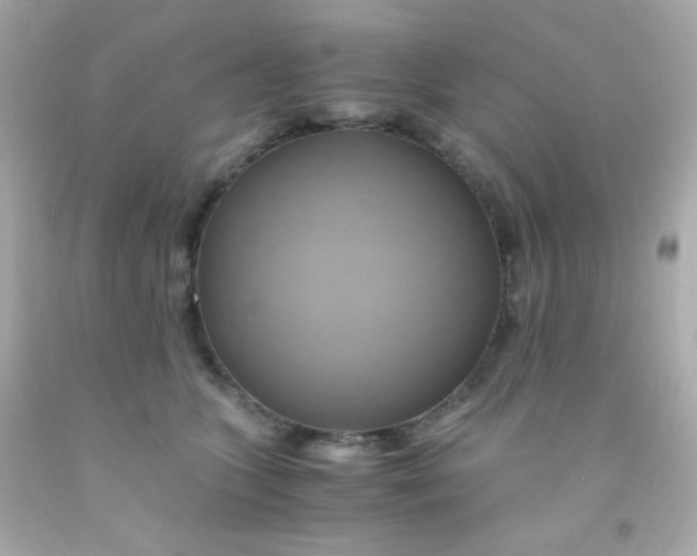 X0000091500563200709061924