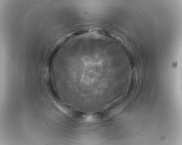 X0000091500564200709061924