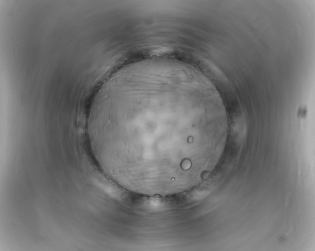 X0000091500565200709061924