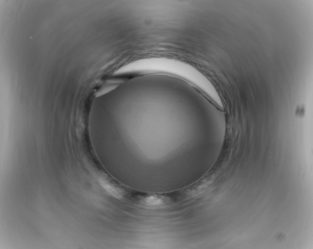 X0000091500566200709061924