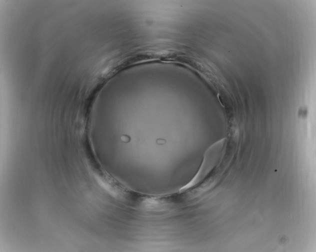 X0000091500568200709061925