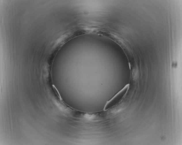 X0000091500570200709061925