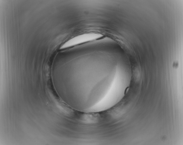 X0000091500571200709061925