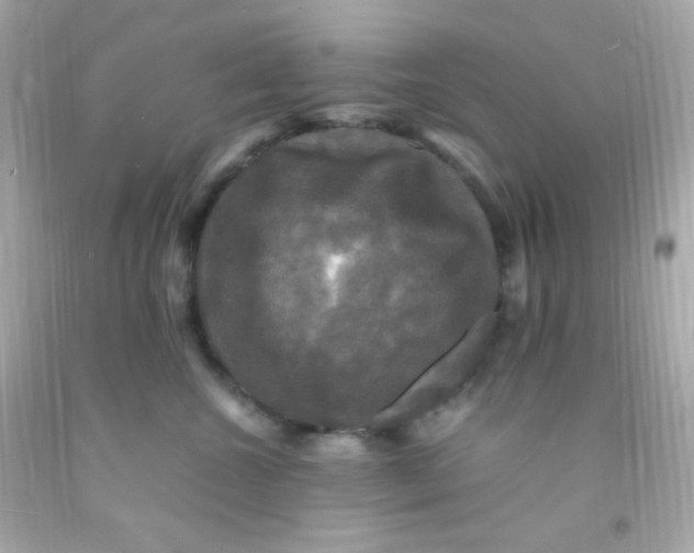 X0000091500572200709061925