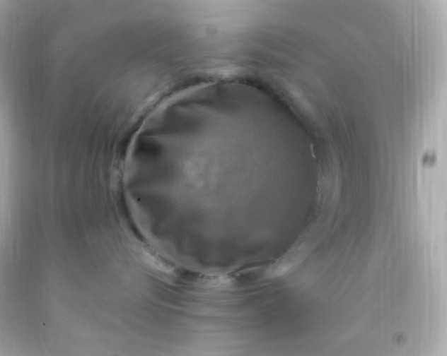 X0000091500576200709061925