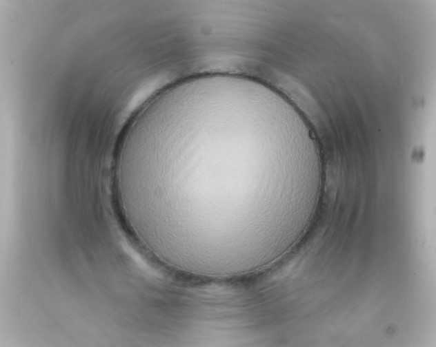 X0000091500578200709061924