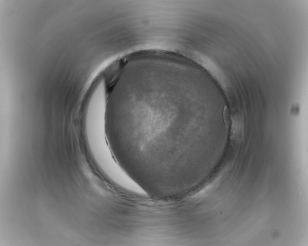 X0000091500580200709061924