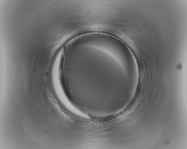 X0000091500581200709061924