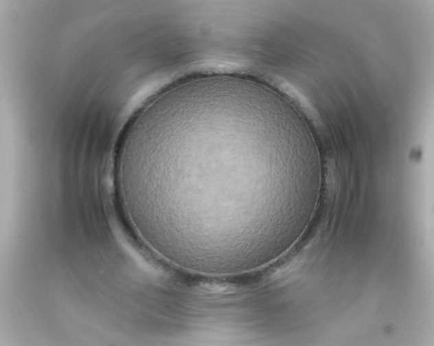 X0000091500582200709061924